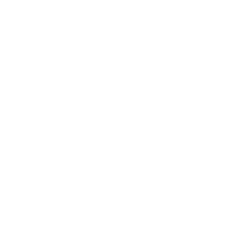 Faruk Bakır